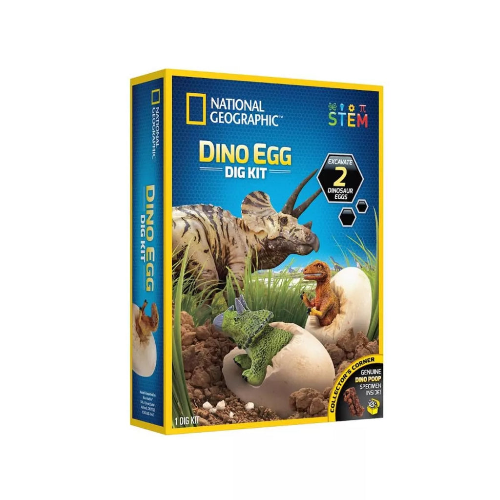 STEM Dino Egg Dig Kit
