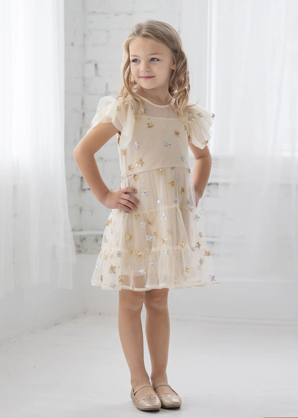 Nutcracker Star Embroidered Tulle Dress