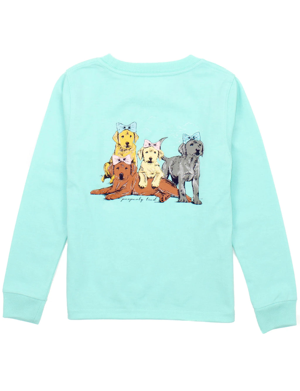 Adult Puppy Pile LS Seafoam